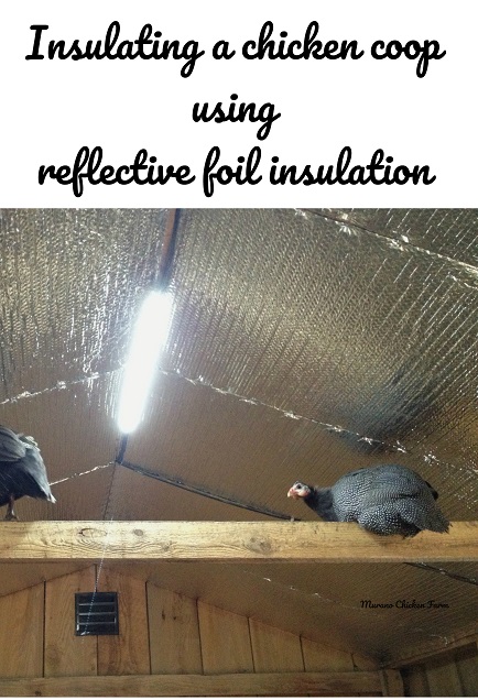 Insulating the chicken coop - Murano Chicken Farm